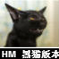 网站建设设计